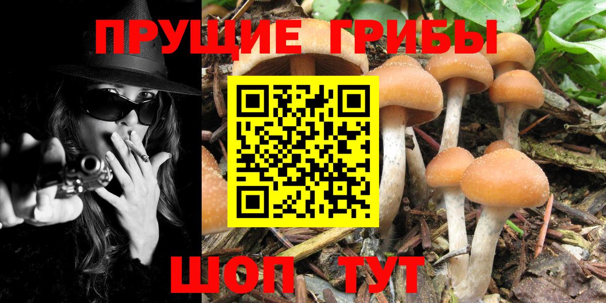 Галлюциногенные грибы ЛСД  Вход с VPN  Грозный 