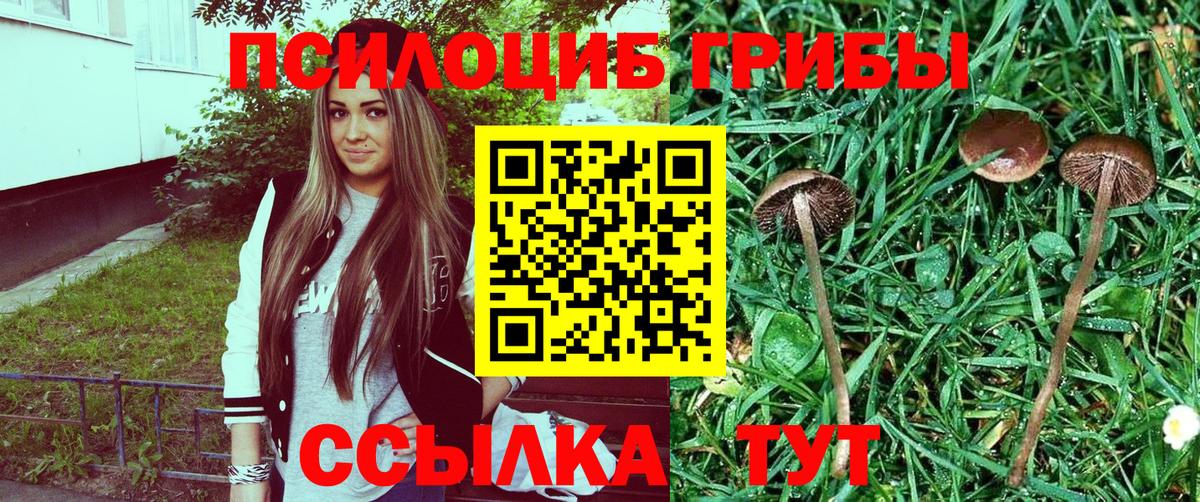 Псилоцибиновые грибы ЛСД Грозный